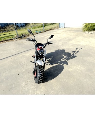 MB200X TrailMaster Hurricane Mini Bike Coleman Full sized REC-REG E-start RED MB200X TrailMaster Hurricane Mini Bike Coleman Full sized REC-REG E-start RED