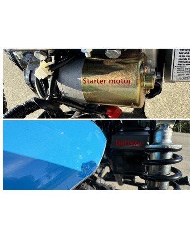 MB200X TrailMaster Hurricane Mini Bike Coleman Full sized REC-REG E-start BLUE MB200X TrailMaster Hurricane Mini Bike Coleman Full sized REC-REG E-start BLUE