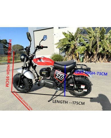 MB200X TrailMaster Hurricane Mini Bike Coleman Full sized REC-REG E-start BLUE MB200X TrailMaster Hurricane Mini Bike Coleman Full sized REC-REG E-start BLUE