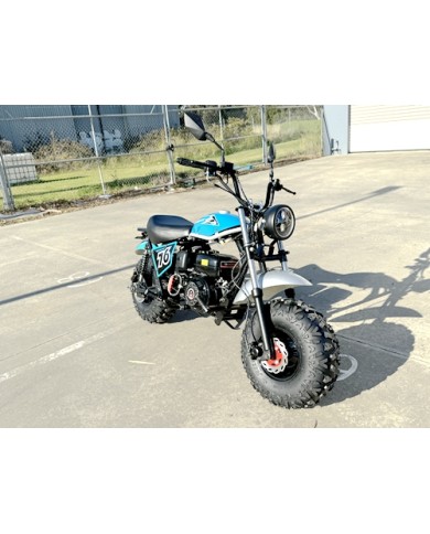 MB200X TrailMaster Hurricane Mini Bike Coleman Full sized REC-REG E-start BLUE MB200X TrailMaster Hurricane Mini Bike Coleman Full sized REC-REG E-start BLUE