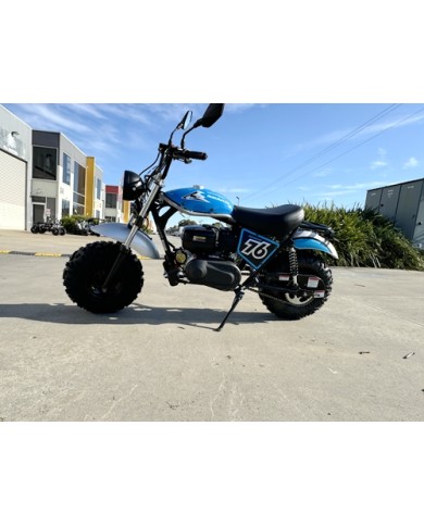 MB200X TrailMaster Hurricane Mini Bike Coleman Full sized REC-REG E-start BLUE MB200X TrailMaster Hurricane Mini Bike Coleman Full sized REC-REG E-start BLUE