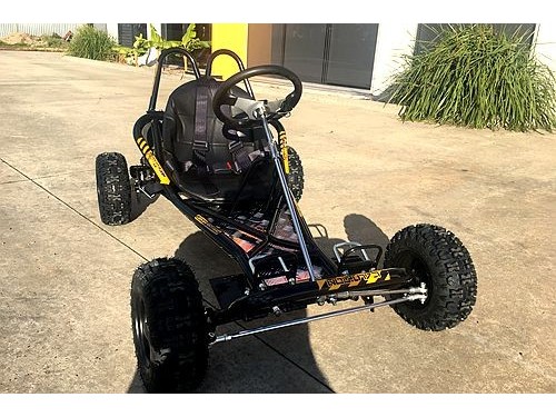 200CC 6.5HP Go Kart Dune Buggy QUAD 4 Stroke Upgraded Adult/Kids Sizes