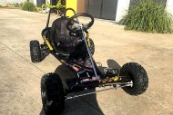 200CC 6.5HP Go Kart Dune Buggy QUAD 4 Stroke Upgraded Adult/Kids Sizes