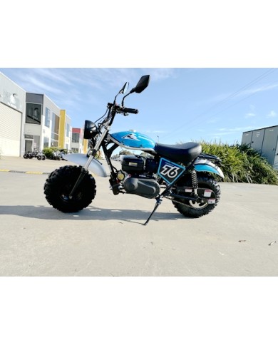 MB200X TrailMaster Hurricane Mini Bike Coleman Full sized REC-REG E-start BLUE MB200X TrailMaster Hurricane Mini Bike Coleman Full sized REC-REG E-start BLUE
