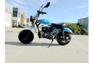MB200X TrailMaster Hurricane Mini Bike Coleman Full sized REC-REG E-start BLUE