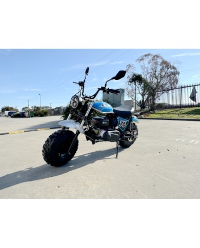 MB200X TrailMaster Hurricane Mini Bike Coleman Full sized REC-REG E-start BLUE MB200X TrailMaster Hurricane Mini Bike Coleman Full sized REC-REG E-start BLUE