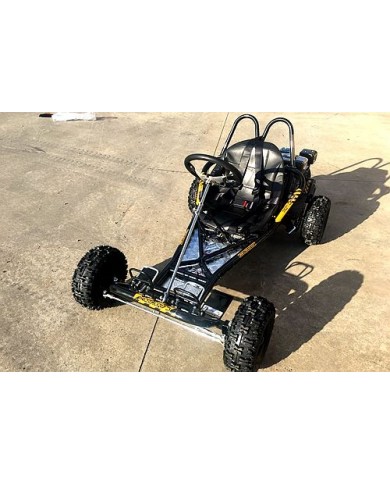 200CC 6.5HP Go Kart Dune Buggy QUAD 4 Stroke Upgraded Adult/Kids Sizes