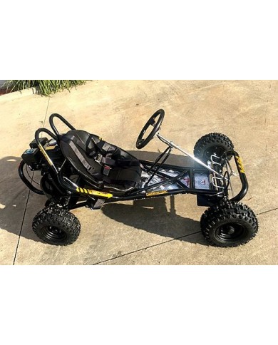 200CC 6.5HP Go Kart Dune Buggy QUAD 4 Stroke Upgraded Adult/Kids Sizes