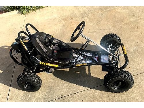 200CC 6.5HP Go Kart Dune Buggy QUAD 4 Stroke Upgraded Adult/Kids Sizes