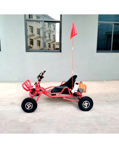 63cc Go Kart GK63 4 Wheeler 2 Stroke Buggy Adults Teens All-Terrain Off Road Toy