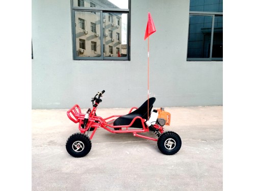 63cc Go Kart GK63 4 Wheeler 2 Stroke Buggy Adults Teens All-Terrain Off Road Toy
