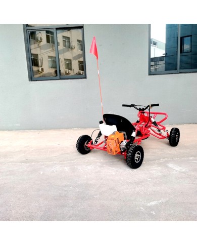 63cc Go Kart GK63 4 Wheeler 2 Stroke Buggy Adults Teens All-Terrain Off Road Toy