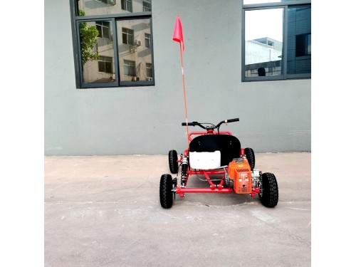 63cc Go Kart GK63 4 Wheeler 2 Stroke Buggy Adults Teens All-Terrain Off Road Toy