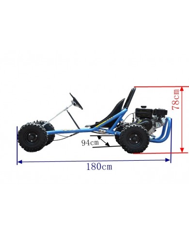 200CC 6.5HP Go Kart Dune Buggy QUAD 4 Stroke Upgraded Adult/Kids Sizes