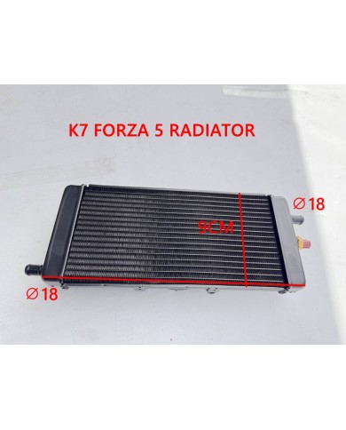 RADIATOR 300cc  BUGGY FORZA 7 K7 dune buggy