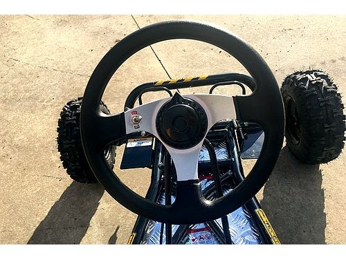 200CC 6.5HP Go Kart Dune Buggy QUAD 4 Stroke Upgraded Adult/Kids Sizes