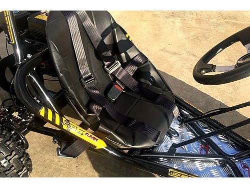 200CC 6.5HP Go Kart Dune Buggy QUAD 4 Stroke Upgraded Adult/Kids Sizes