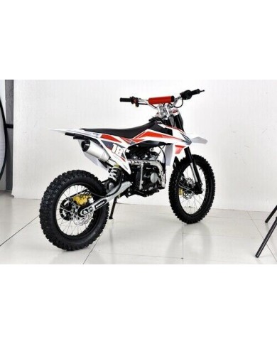 125CC DIRT BIKE PIT MOTOR TRAIL MOTOCROSS DINGO PRO ELECTRIC START 14/17 BIG WHEEL RED 125CC DIRT BIKE PIT MOTOR TRAIL MOTOCROSS DINGO PRO ELECTRIC START 14/17 BIG WHEEL RED