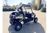 200CC UTV Challenger 200EX Dune Buggy Go kart Off Road 2 Seater Auto CVT EFI White