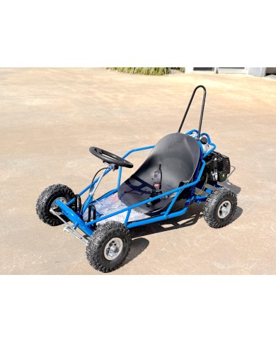 49cc Mini Go Kart 4 Wheeler Kids 2 Stroke Buggy Quad Atv Blue