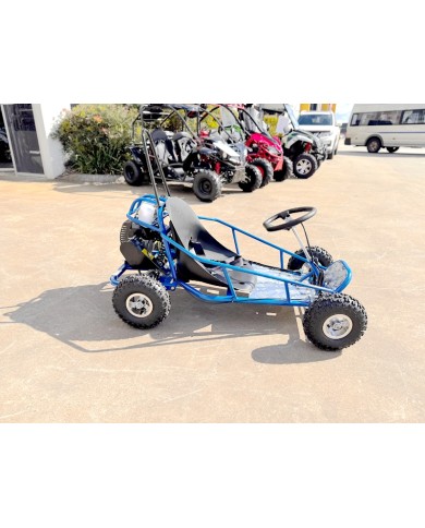 49cc Mini Go Kart 4 Wheeler Kids 2 Stroke Buggy Quad Atv Blue