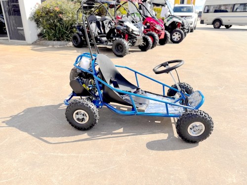 49cc Mini Go Kart 4 Wheeler Kids 2 Stroke Buggy Quad Atv Blue