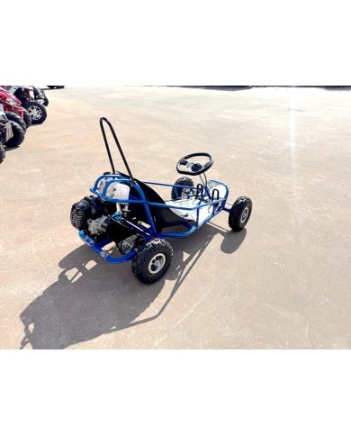49cc Mini Go Kart 4 Wheeler Kids 2 Stroke Buggy Quad Atv Blue