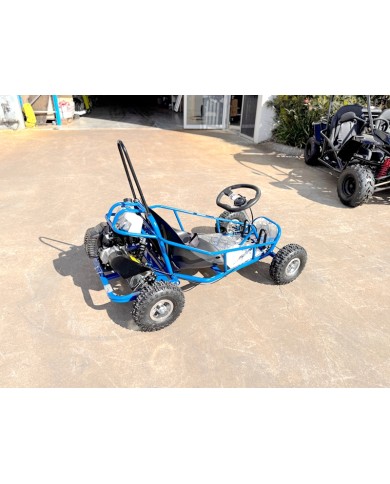 49cc Mini Go Kart 4 Wheeler Kids 2 Stroke Buggy Quad Atv Blue