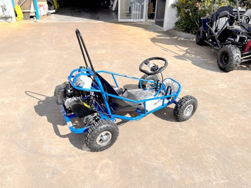 49cc Mini Go Kart 4 Wheeler Kids 2 Stroke Buggy Quad Atv Blue