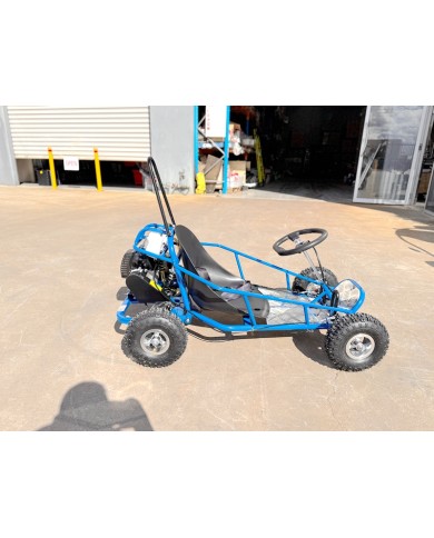 49cc Mini Go Kart 4 Wheeler Kids 2 Stroke Buggy Quad Atv Blue