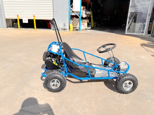 49cc Mini Go Kart 4 Wheeler Kids 2 Stroke Buggy Quad Atv Blue