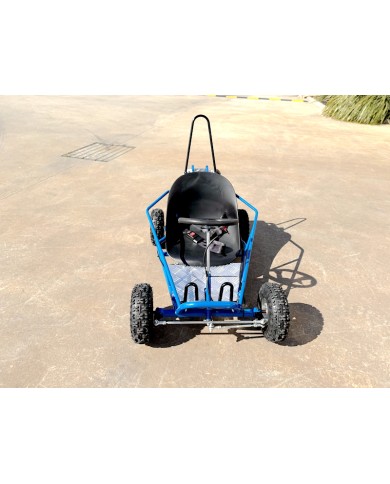 49cc Mini Go Kart 4 Wheeler Kids 2 Stroke Buggy Quad Atv Blue