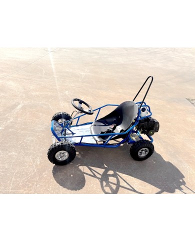 49cc Mini Go Kart 4 Wheeler Kids 2 Stroke Buggy Quad Atv Blue