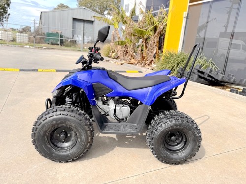 150CC ATV Sport Quad 4 Wheel Buggy Semi Auto ZOOMER BLUE kids Adults Off-road