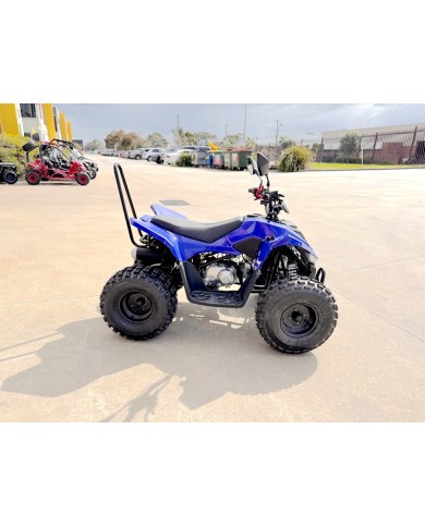 110CC ATV Sport Quad 4 Wheel Buggy Semi Auto ZOOMER BLUE kids Adults Off-road 110CC ATV Sport Quad 4 Wheel Buggy Semi Auto ZOOMER BLUE kids Adults Off-road