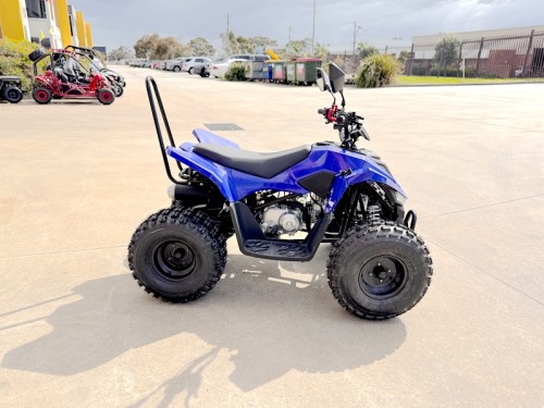 150CC ATV Sport Quad 4 Wheel Buggy Semi Auto ZOOMER BLUE kids Adults Off-road