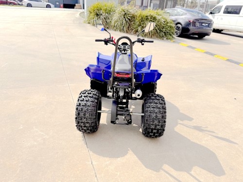 150CC ATV Sport Quad 4 Wheel Buggy Semi Auto ZOOMER BLUE kids Adults Off-road