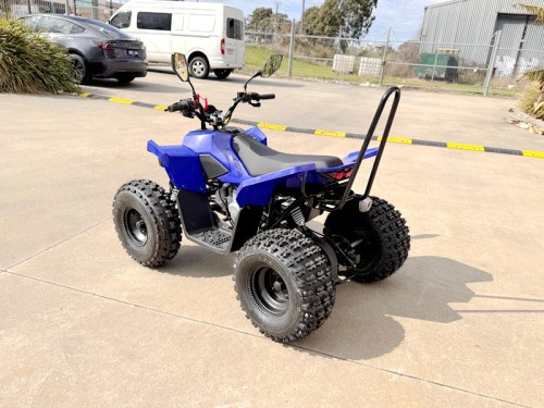 150CC ATV Sport Quad 4 Wheel Buggy Semi Auto ZOOMER BLUE kids Adults Off-road