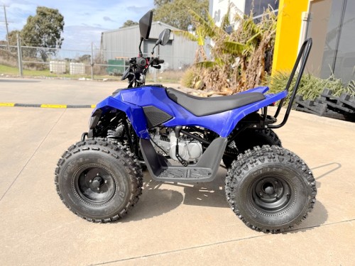 150CC ATV Sport Quad 4 Wheel Buggy Semi Auto ZOOMER BLUE kids Adults Off-road