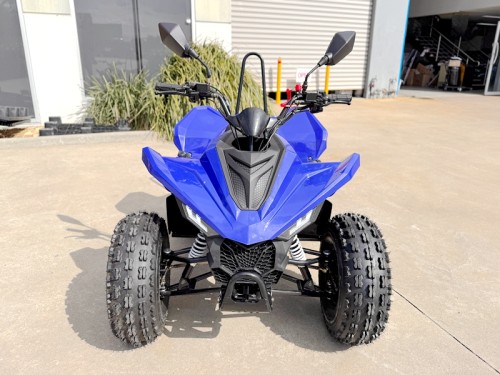 150CC ATV Sport Quad 4 Wheel Buggy Semi Auto ZOOMER BLUE kids Adults Off-road