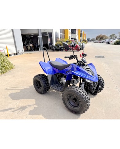 110CC ATV Sport Quad 4 Wheel Buggy Semi Auto ZOOMER BLUE kids Adults Off-road 110CC ATV Sport Quad 4 Wheel Buggy Semi Auto ZOOMER BLUE kids Adults Off-road