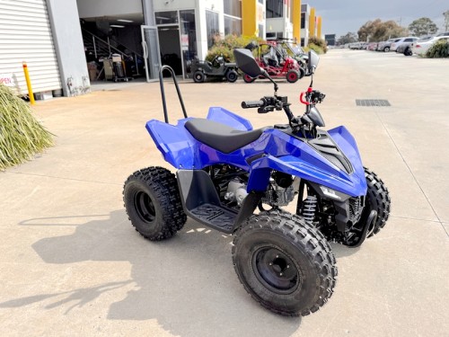 150CC ATV Sport Quad 4 Wheel Buggy Semi Auto ZOOMER BLUE kids Adults Off-road