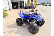 150CC ATV Sport Quad 4 Wheel Buggy Semi Auto ZOOMER BLUE kids Adults Off-road