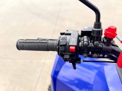 150CC ATV Sport Quad 4 Wheel Buggy Semi Auto ZOOMER BLUE kids Adults Off-road