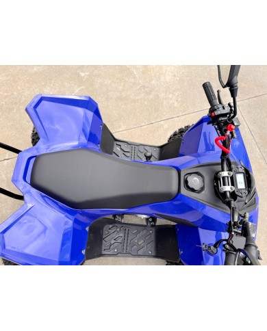 110CC ATV Sport Quad 4 Wheel Buggy Semi Auto ZOOMER BLUE kids Adults Off-road 110CC ATV Sport Quad 4 Wheel Buggy Semi Auto ZOOMER BLUE kids Adults Off-road