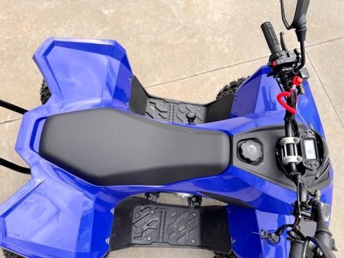 150CC ATV Sport Quad 4 Wheel Buggy Semi Auto ZOOMER BLUE kids Adults Off-road