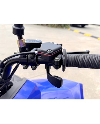 110CC ATV Sport Quad 4 Wheel Buggy Semi Auto ZOOMER BLUE kids Adults Off-road 110CC ATV Sport Quad 4 Wheel Buggy Semi Auto ZOOMER BLUE kids Adults Off-road