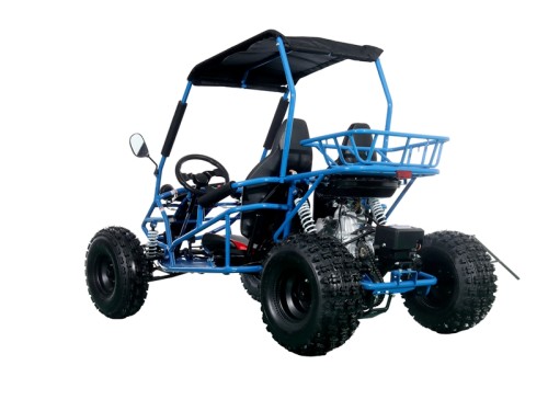 RAPTOR 150cc Semi Auto Buggy Teens & Adults Off Road Go Kart ATV Quad BLUE RAPTOR 150cc Semi Auto Buggy Teens & Adults Off Road Go Kart ATV Quad BLUE