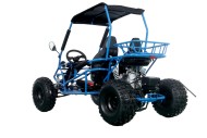 RAPTOR 150cc Semi Auto Buggy Teens & Adults Off Road Go Kart ATV Quad BLUE RAPTOR 150cc Semi Auto Buggy Teens & Adults Off Road Go Kart ATV Quad BLUE
