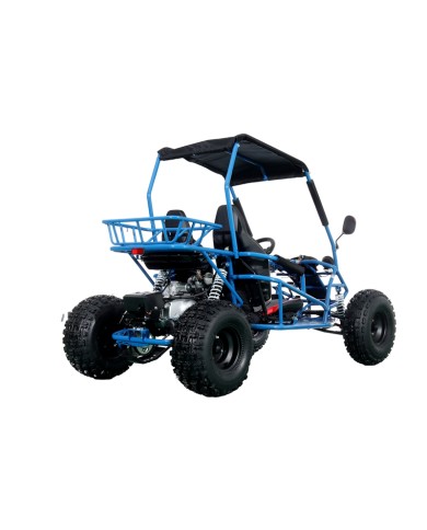 RAPTOR 150cc Semi Auto Buggy Teens & Adults Off Road Go Kart ATV Quad BLUE RAPTOR 150cc Semi Auto Buggy Teens & Adults Off Road Go Kart ATV Quad BLUE